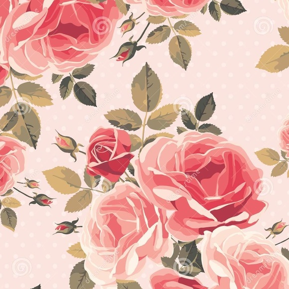 Meet your Posher, Stella - Picture 1 of 1